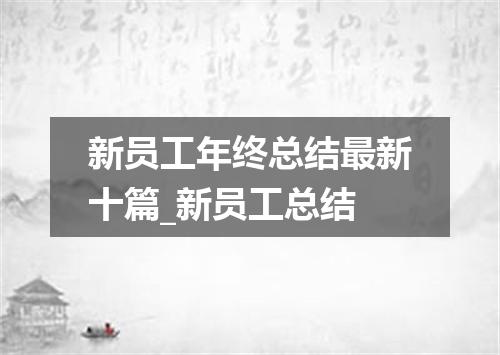 新员工年终总结最新十篇_新员工总结