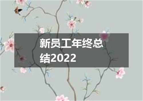 新员工年终总结2022