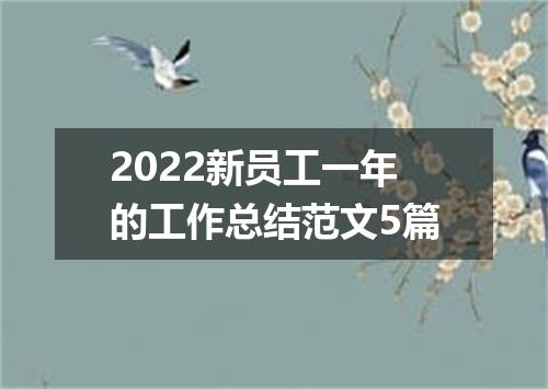 2022新员工一年的工作总结范文5篇