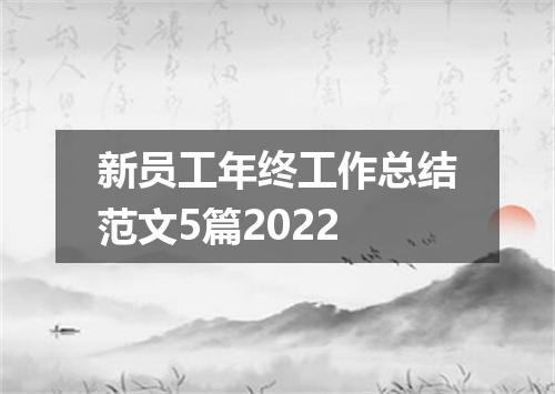 新员工年终工作总结范文5篇2022