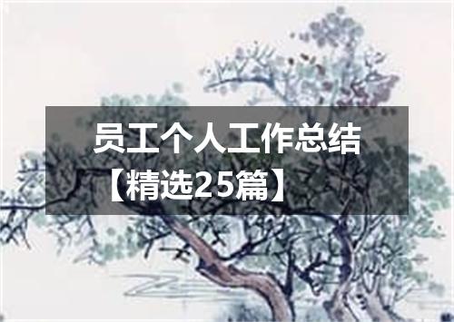 员工个人工作总结【精选25篇】