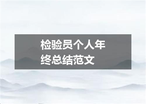 检验员个人年终总结范文
