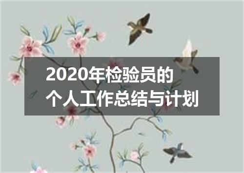 2020年检验员的个人工作总结与计划