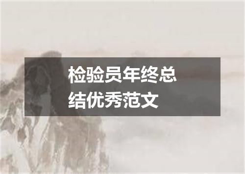 检验员年终总结优秀范文
