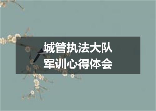 城管执法大队军训心得体会