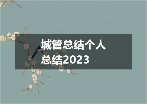 城管总结个人总结2023