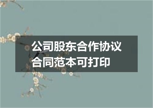 公司股东合作协议合同范本可打印