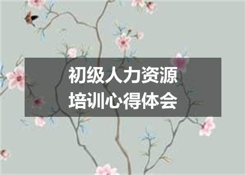 初级人力资源培训心得体会
