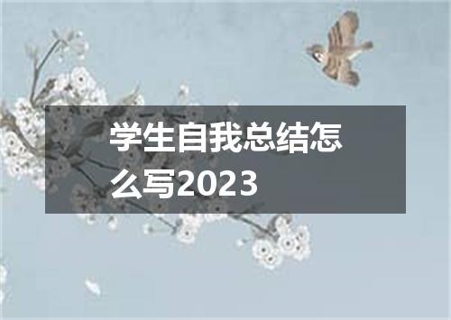 学生自我总结怎么写2023