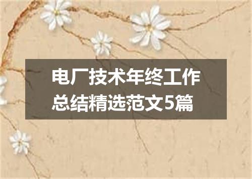 电厂技术年终工作总结精选范文5篇