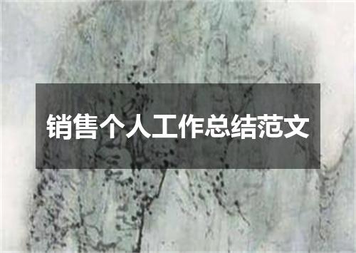 销售个人工作总结范文