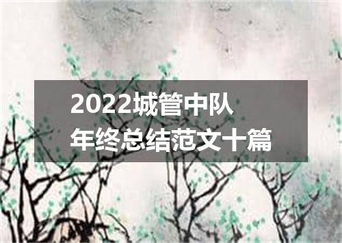 2022城管中队年终总结范文十篇