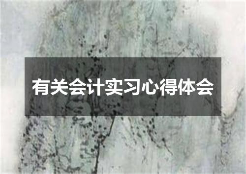 有关会计实习心得体会