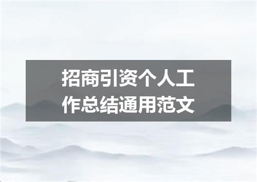 招商引资个人工作总结通用范文
