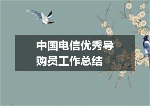 中国电信优秀导购员工作总结