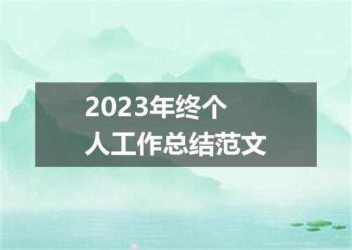 2023年终个人工作总结范文