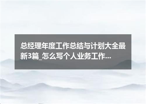 总经理年度工作总结与计划大全最新3篇_怎么写个人业务工作总结与计划