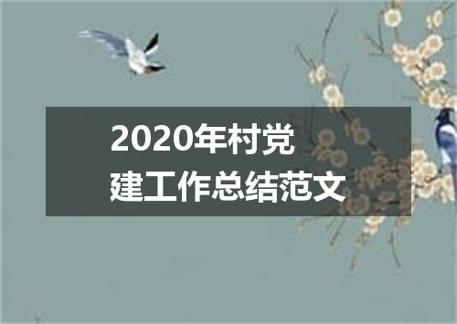 2020年村党建工作总结范文