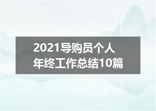 2021导购员个人年终工作总结10篇
