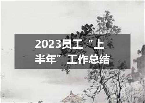 2023员工“上半年”工作总结