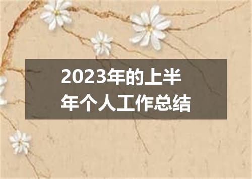 2023年的上半年个人工作总结