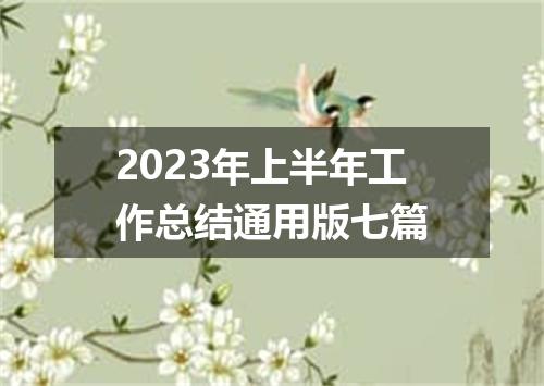 2023年上半年工作总结通用版七篇