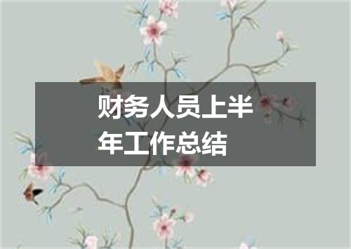 财务人员上半年工作总结