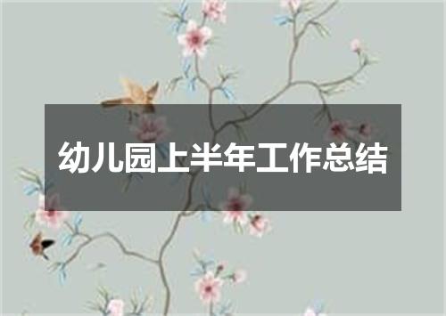 幼儿园上半年工作总结