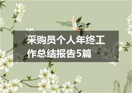 采购员个人年终工作总结报告5篇