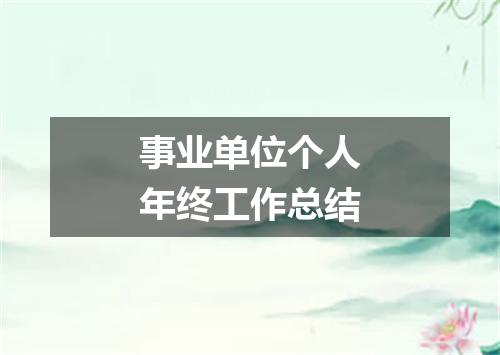 事业单位个人年终工作总结