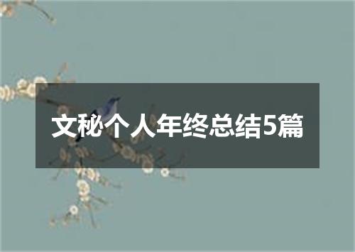 文秘个人年终总结5篇
