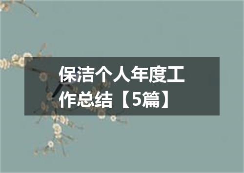 保洁个人年度工作总结【5篇】