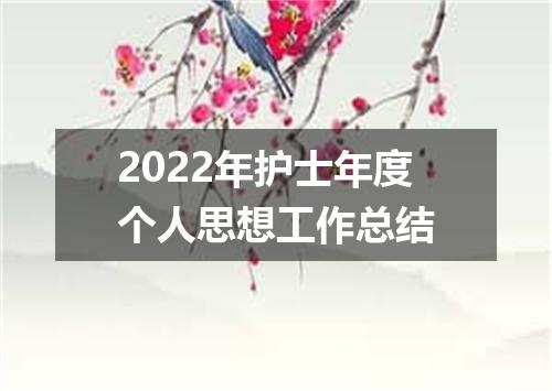 2022年护士年度个人思想工作总结