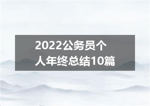 2022公务员个人年终总结10篇