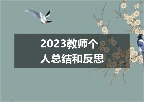 2023教师个人总结和反思