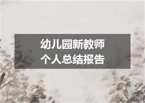 幼儿园新教师个人总结报告