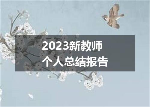 2023新教师个人总结报告