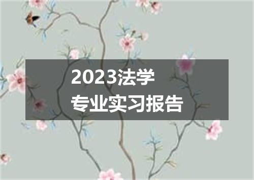 2023法学专业实习报告