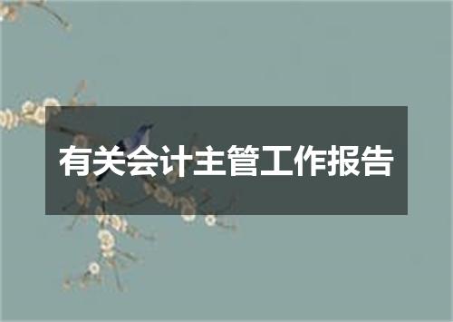 有关会计主管工作报告