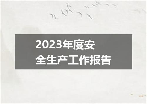 2023年度安全生产工作报告
