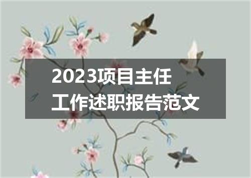 2023项目主任工作述职报告范文