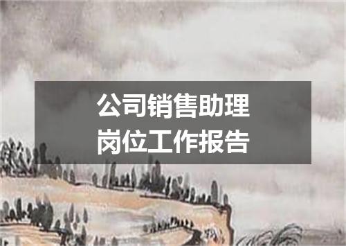 公司销售助理岗位工作报告