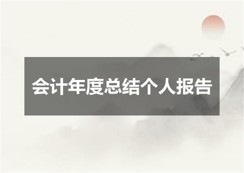 会计年度总结个人报告