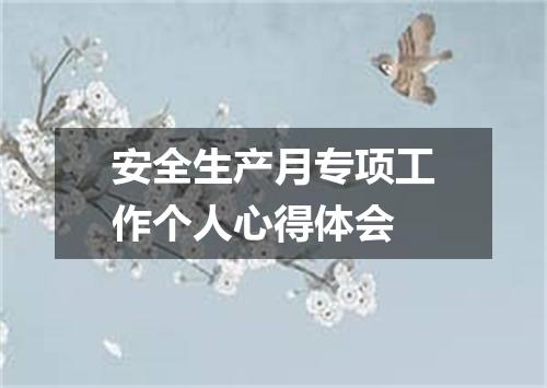 安全生产月专项工作个人心得体会