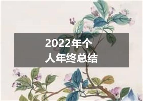 2022年个人年终总结