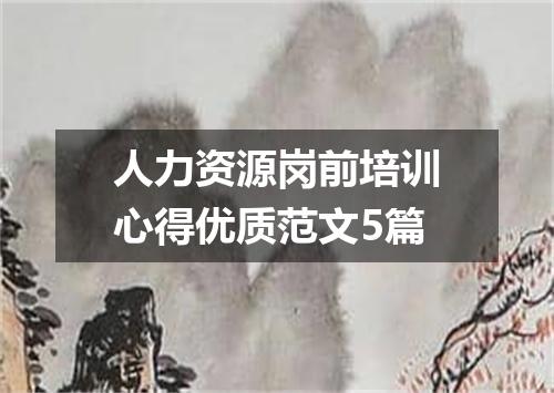 人力资源岗前培训心得优质范文5篇