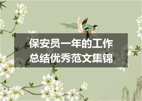 保安员一年的工作总结优秀范文集锦
