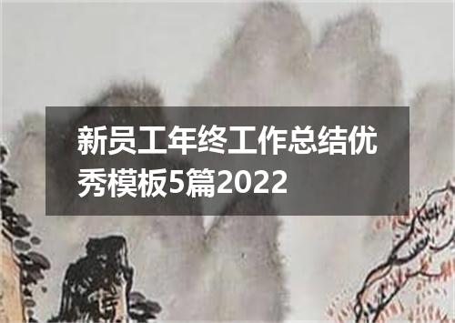 新员工年终工作总结优秀模板5篇2022