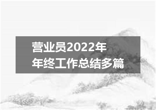 营业员2022年年终工作总结多篇