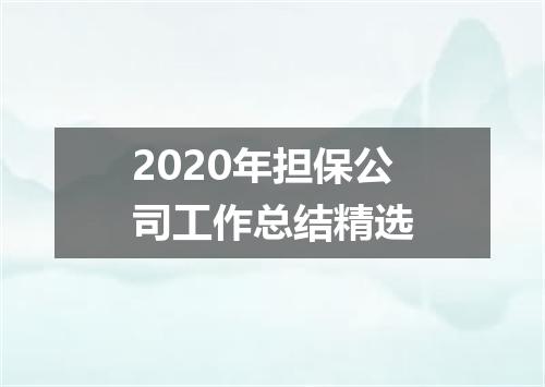 2020年担保公司工作总结精选